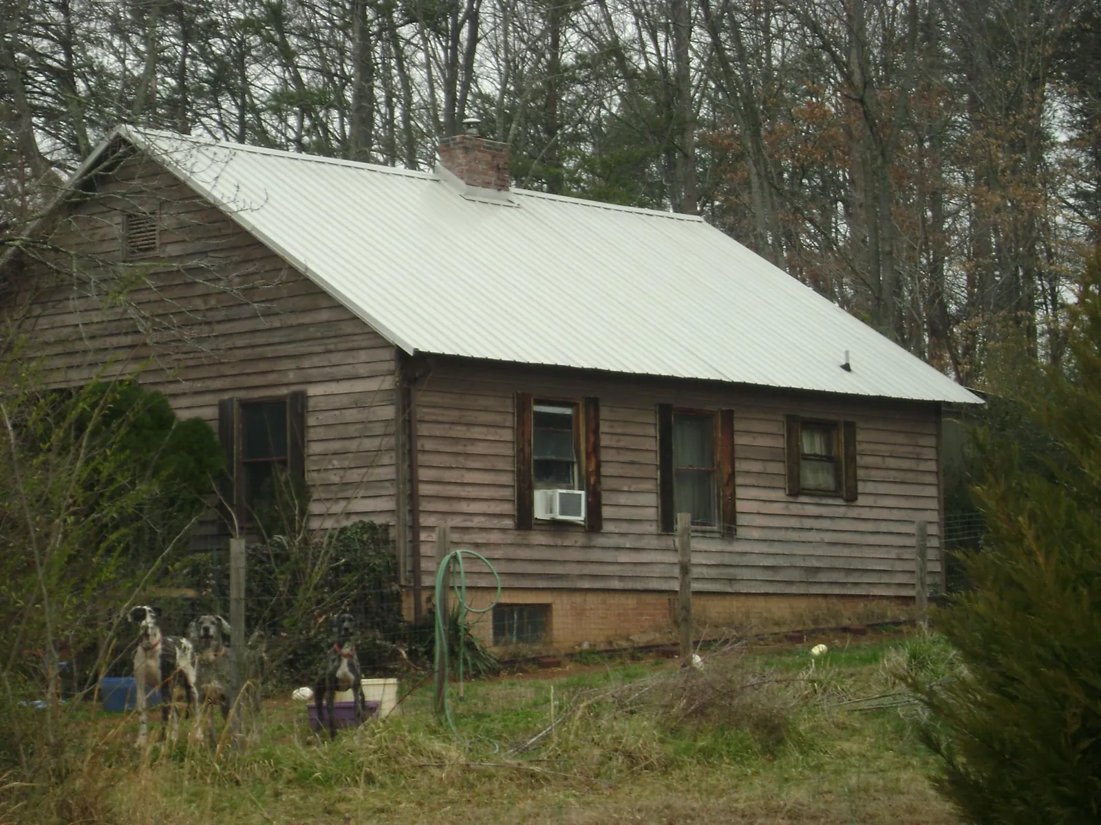 White metal roof on an old wood sided farmhouse, from a Asphalt Shingle Roof Repair job in Duson